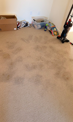 Carpet before cleaning